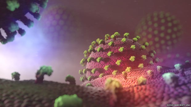Saliência irregular na membrana de plasma de uma célula (Foto: Xvivo/Barcroft USA) Saliência irregular na membrana de plasma de uma célula (Foto: Xvivo/Barcroft USA)