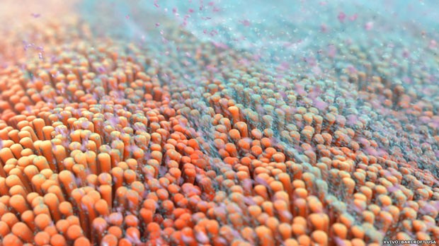 O fator de transformação de crescimento Beta, um polipeptídeo encontrado no leite (Foto: Xvivo/Barcroft USA) O fator de transformação de crescimento Beta, um polipeptídeo encontrado no leite (Foto: Xvivo/Barcroft USA)