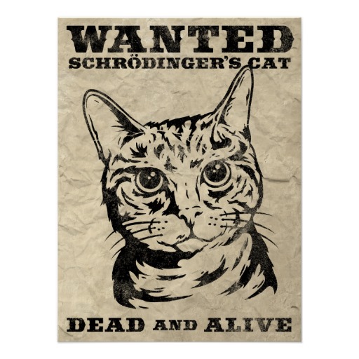 o_gato_de_schrodinger_quis_inoperante_ou_vivo_poster-rb5343cbe8b544d8bb2bcae895ee346ca_wv4_8byvr_512