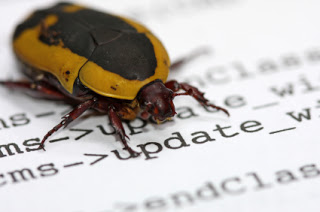Computer Bug