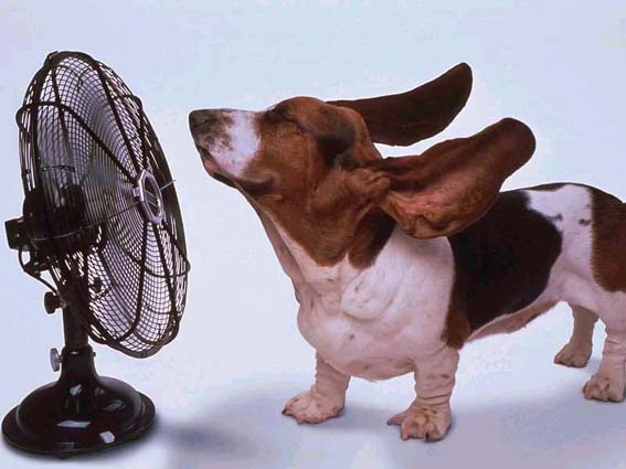efeito_ventilador