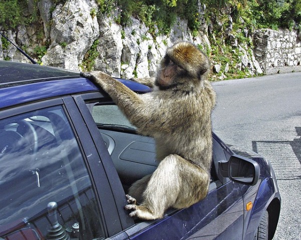 Não, isso não é um Macaco Hidráulico :D