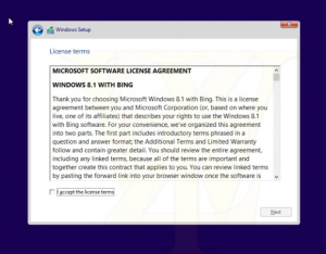 wzorbingwin81-620x484